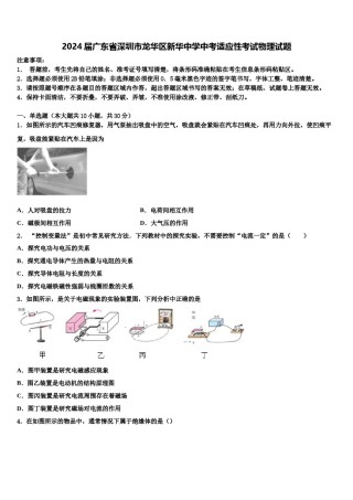 2024届广东省深圳市龙华区新华中学中考适应性考试物理试题含解析.doc
