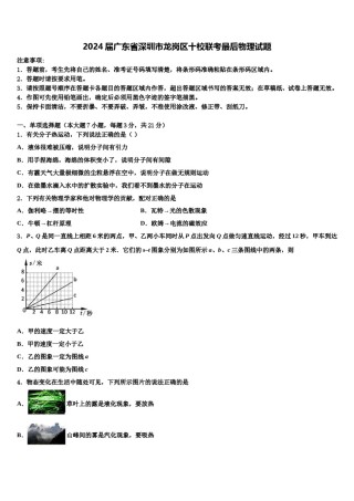 2024届广东省深圳市龙岗区十校联考最后物理试题含解析.doc