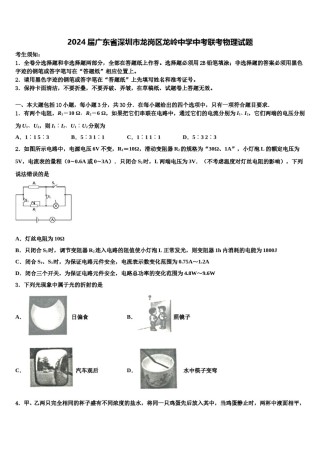 2024届广东省深圳市龙岗区龙岭中学中考联考物理试题含解析.doc