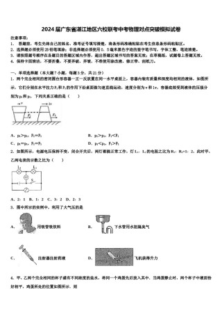 2024届广东省湛江地区六校联考中考物理对点突破模拟试卷含解析.doc