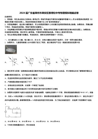 2024届广东省潮州市潮安区雅博校中考物理模拟精编试卷含解析.doc