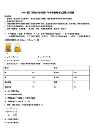 2024届广西南宁市新民中学中考物理考试模拟冲刺卷含解析.doc