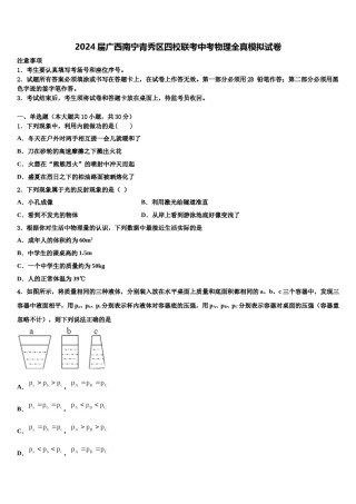 2024届广西南宁青秀区四校联考中考物理全真模拟试卷含解析.doc