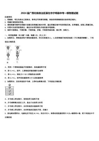 2024届广西壮族自治区崇左市宁明县中考一模物理试题含解析.doc