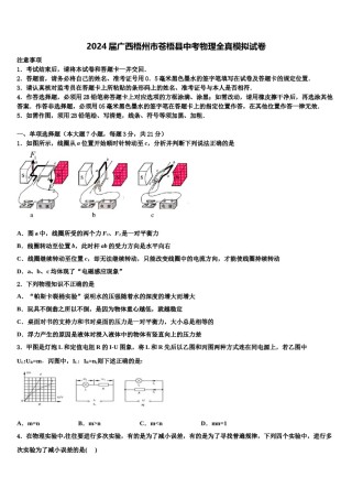 2024届广西梧州市苍梧县中考物理全真模拟试卷含解析.doc