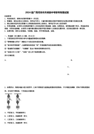 2024届广西河池市天峨县中考联考物理试题含解析.doc