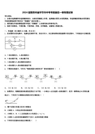 2024届期贵州省毕节市中考考前最后一卷物理试卷含解析.doc
