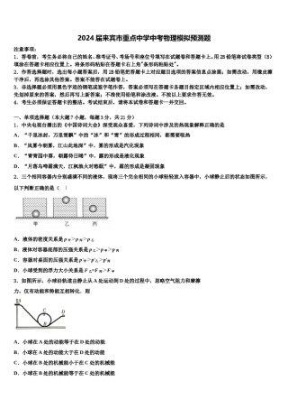 2024届来宾市重点中学中考物理模拟预测题含解析.doc