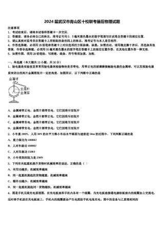 2024届武汉市青山区十校联考最后物理试题含解析.doc