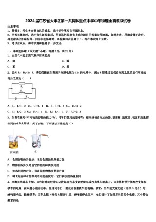 2024届江苏省大丰区第一共同体重点中学中考物理全真模拟试卷含解析.doc