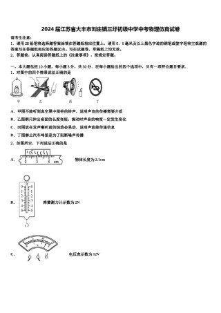 2024届江苏省大丰市刘庄镇三圩初级中学中考物理仿真试卷含解析.doc