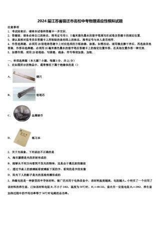 2024届江苏省宿迁市名校中考物理适应性模拟试题含解析.doc