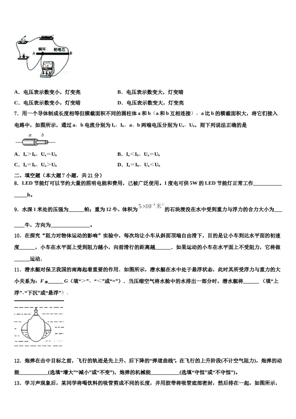 2024届江苏省射阳实验初中达标名校中考五模物理试题含解析.doc_第3页