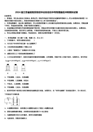 2024届江苏省射阳实验初中达标名校中考物理最后冲刺模拟试卷含解析.doc