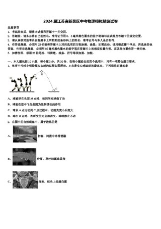 2024届江苏省新吴区中考物理模拟精编试卷含解析.doc