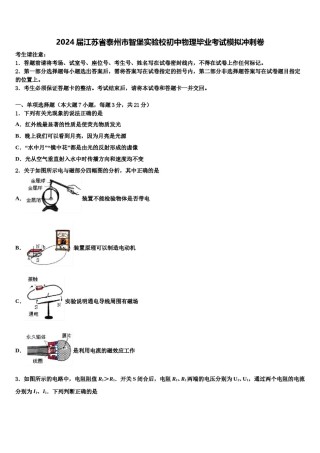 2024届江苏省泰州市智堡实验校初中物理毕业考试模拟冲刺卷含解析.doc