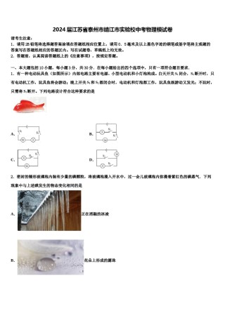 2024届江苏省泰州市靖江市实验校中考物理模试卷含解析.doc