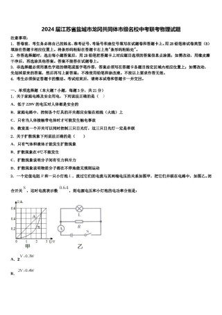 2024届江苏省盐城市龙冈共同体市级名校中考联考物理试题含解析.doc