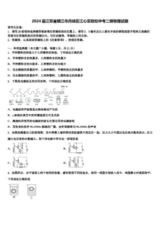 2024届江苏省镇江市丹徒区江心实验校中考二模物理试题含解析.doc