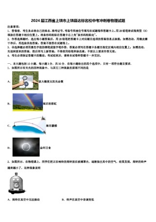 2024届江西省上饶市上饶县达标名校中考冲刺卷物理试题含解析.doc