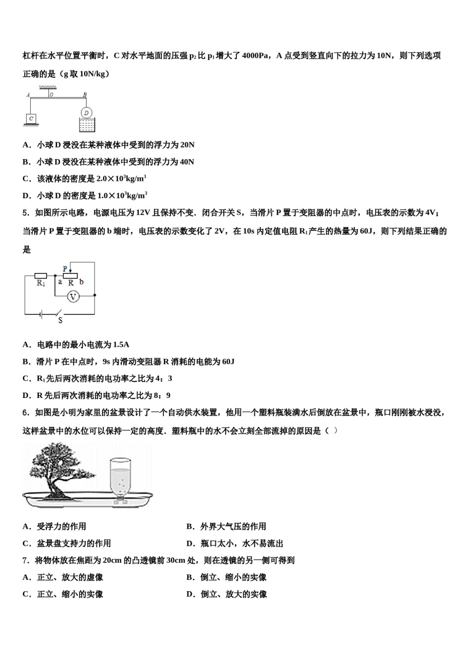 2024届江西省宜春市丰城市重点达标名校中考物理模拟精编试卷含解析.doc_第2页