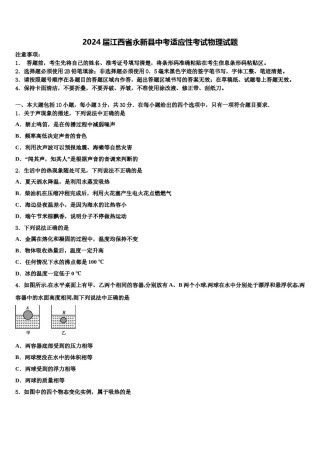2024届江西省永新县中考适应性考试物理试题含解析.doc