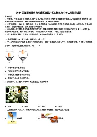 2024届江西省赣州市南康区唐西片区达标名校中考二模物理试题含解析.doc