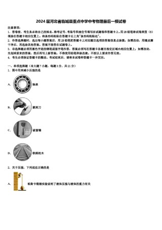 2024届河北省临城县重点中学中考物理最后一模试卷含解析.doc