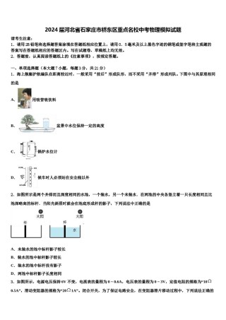 2024届河北省石家庄市桥东区重点名校中考物理模拟试题含解析.doc