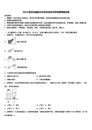 2024届河北省衡水市达标名校中考物理押题试卷含解析.doc