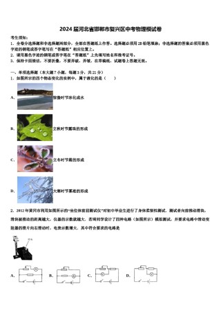 2024届河北省邯郸市复兴区中考物理模试卷含解析.doc