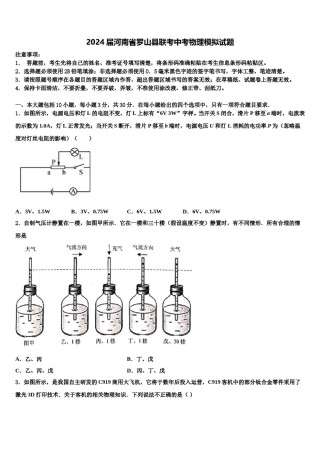 2024届河南省罗山县联考中考物理模拟试题含解析.doc