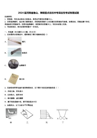 2024届河南省鲁山、舞钢重点名校中考适应性考试物理试题含解析.doc