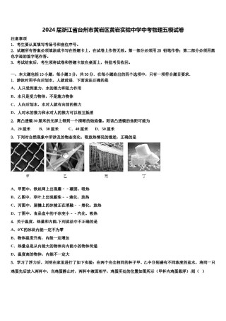 2024届浙江省台州市黄岩区黄岩实验中学中考物理五模试卷含解析.doc