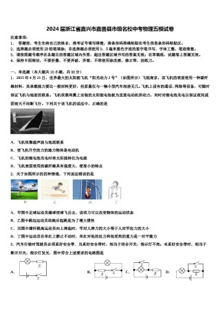 2024届浙江省嘉兴市嘉善县市级名校中考物理五模试卷含解析.doc