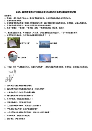 2024届浙江省嘉兴市海盐县重点达标名校中考冲刺卷物理试题含解析.doc