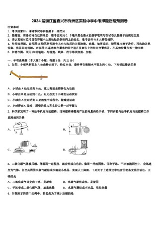 2024届浙江省嘉兴市秀洲区实验中学中考押题物理预测卷含解析.doc