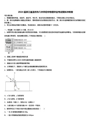 2024届浙江省温州市八中学初中物理毕业考试模拟冲刺卷含解析.doc