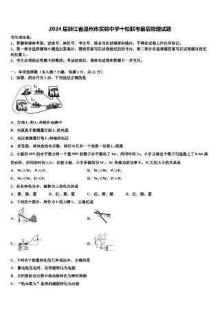 2024届浙江省温州市实验中学十校联考最后物理试题含解析.doc