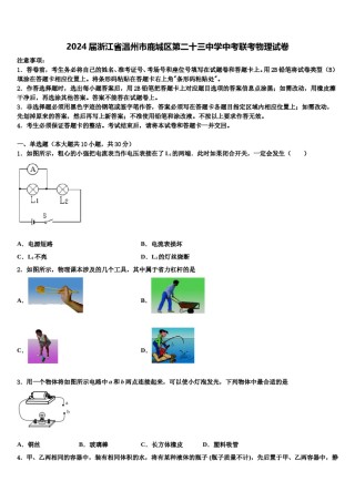 2024届浙江省温州市鹿城区第二十三中学中考联考物理试卷含解析.doc