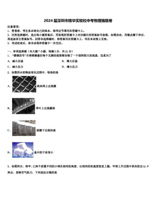 2024届深圳市锦华实验校中考物理猜题卷含解析.doc
