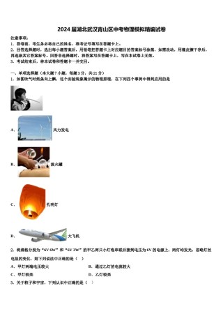 2024届湖北武汉青山区中考物理模拟精编试卷含解析.doc