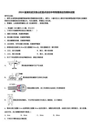 2024届湖北武汉青山区重点名校中考物理适应性模拟试题含解析.doc