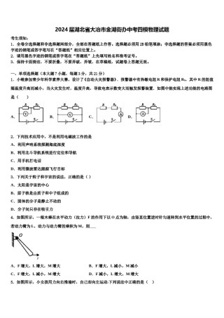 2024届湖北省大冶市金湖街办中考四模物理试题含解析.doc