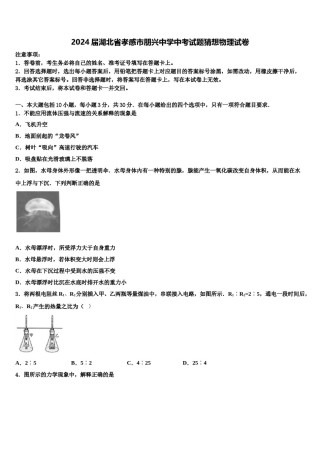 2024届湖北省孝感市朋兴中学中考试题猜想物理试卷含解析.doc