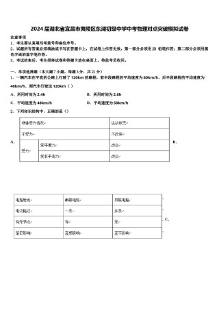 2024届湖北省宜昌市夷陵区东湖初级中学中考物理对点突破模拟试卷含解析.doc