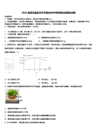 2024届湖北省武汉市市级名校中考物理全真模拟试题含解析.doc