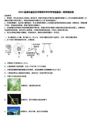 2024届湖北省武汉市梅苑中学中考考前最后一卷物理试卷含解析.doc