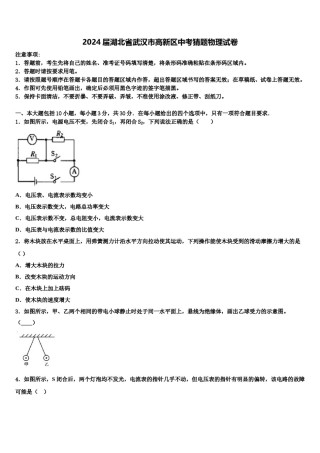2024届湖北省武汉市高新区中考猜题物理试卷含解析.doc