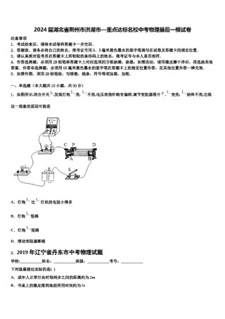 2024届湖北省荆州市洪湖市—重点达标名校中考物理最后一模试卷含解析.doc
